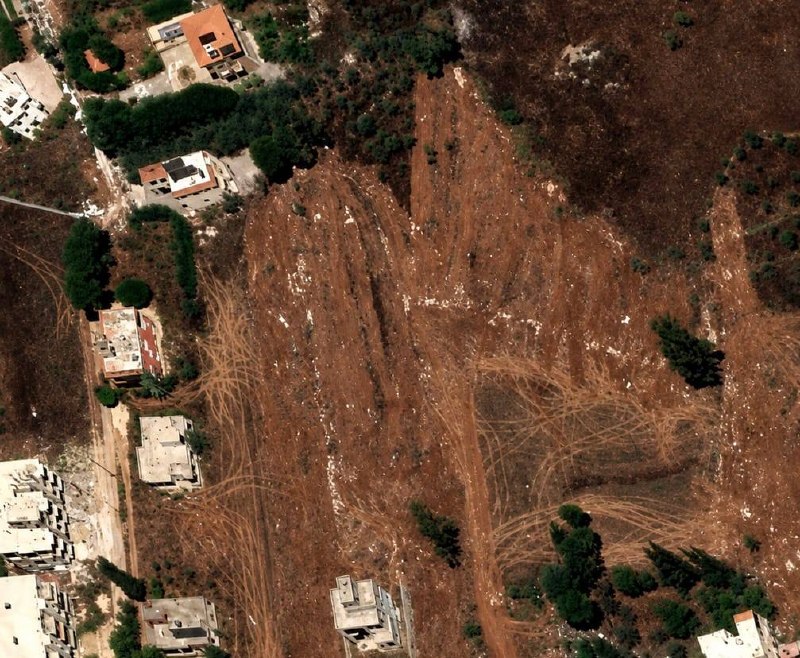 Oliveraie rasée jusqu'à la terre nue au Liban-Sud, en zone résidentielle