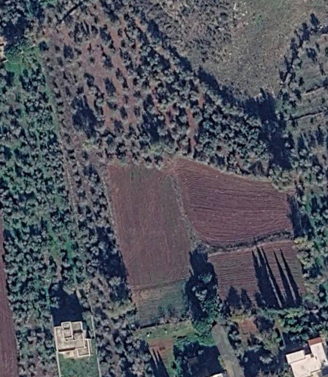Zawtar (Liban-Sud), vue satellite des oliviers et parcelles agricoles avant le dernier accord-cadre